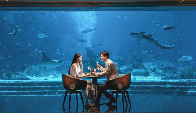Китай, о. Хайнань: премиальный отдых в Atlantis Sanya 5*