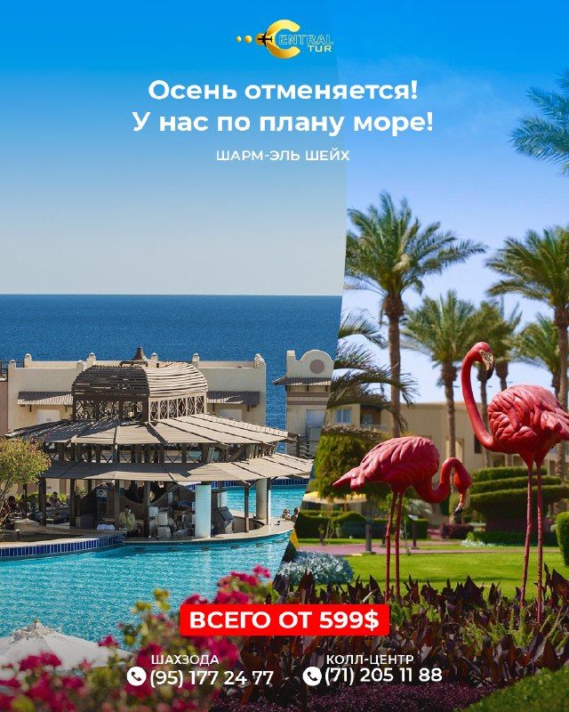 Шарм-эль Шейх: море и отели 3*–5* на 8 дней