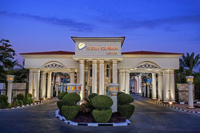 Поездка в Шарм-эль-Шейх: Sultan Gardens Resort 5💫, декабрь
