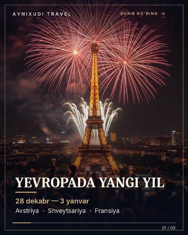 Новый год в Европе: Вена – Швейцария – Цюрих – Париж